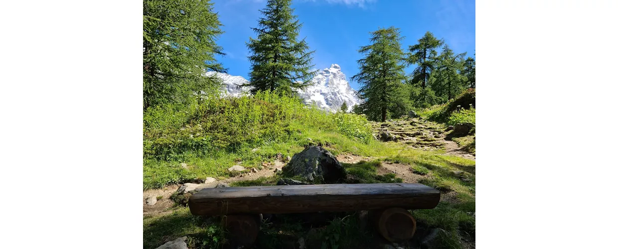 Cervinia panchina di tronchi 