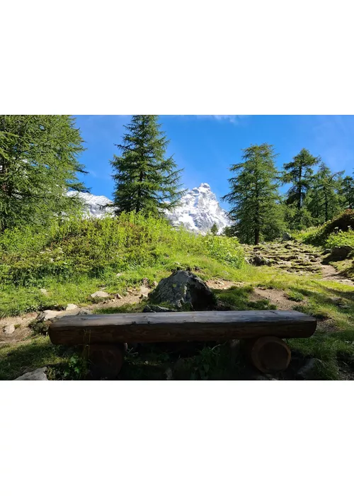 Cervinia panchina di tronchi 