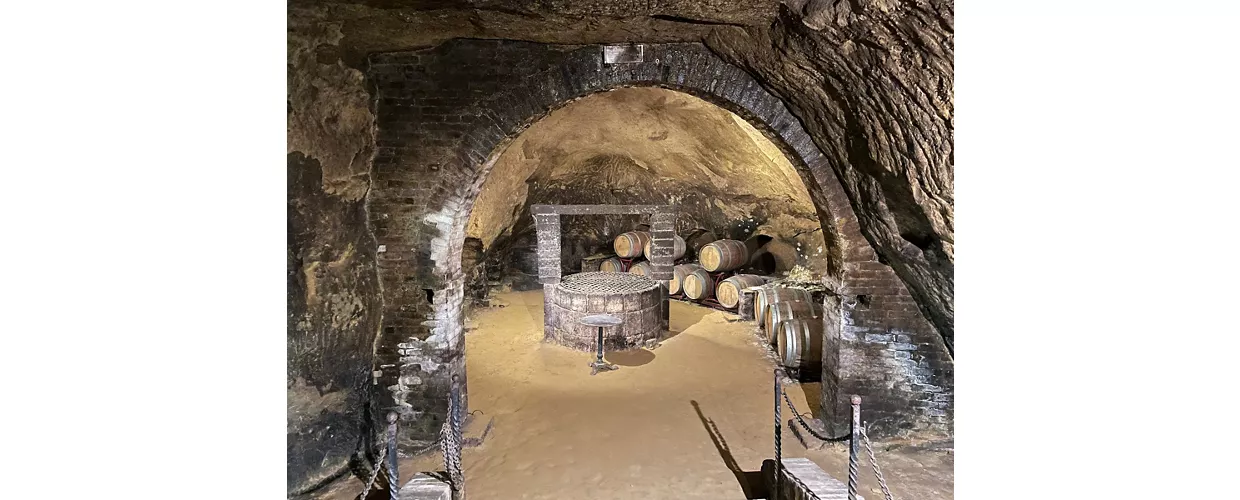 cantina de ricci