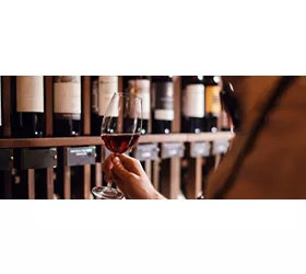Wine expert holds a glass of wine, looks at tint and smells flavor, degustating
