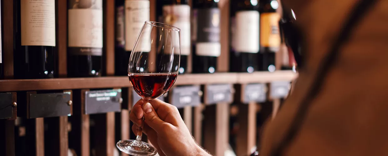 Wine expert holds a glass of wine, looks at tint and smells flavor, degustating