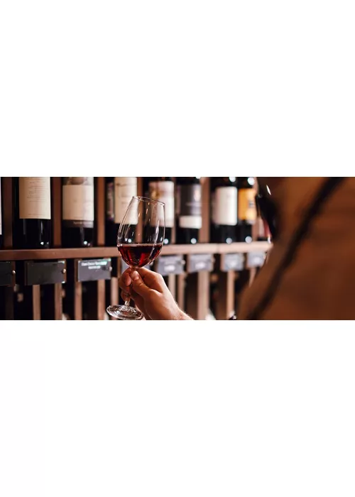 Wine expert holds a glass of wine, looks at tint and smells flavor, degustating