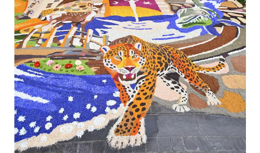 Infiorata di Spello