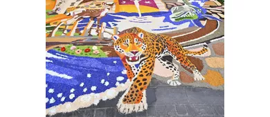 Infiorata di Spello