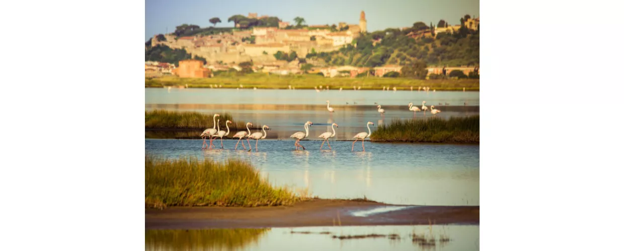 isola-clodia