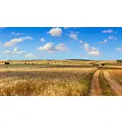 Trekking a cavallo in Molise: cosa vedere e fare sui Regi Tratturi
