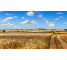 Trekking a cavallo in Molise: cosa vedere e fare sui Regi Tratturi