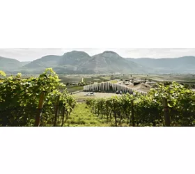 Cantina Kurtatsch
