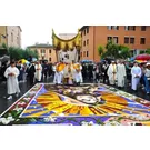 Infiorata di Spello