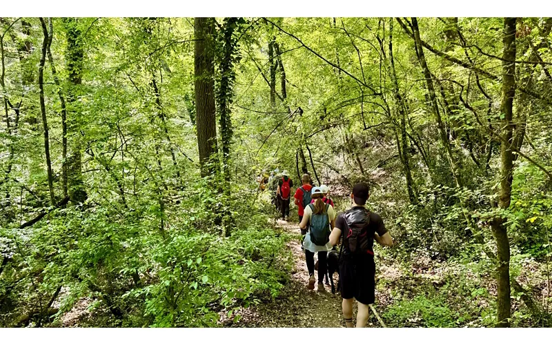 The Lauretani paths