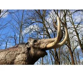 Auronzo Tre Cime. Dai dinosauri ai mammut, la storia continua