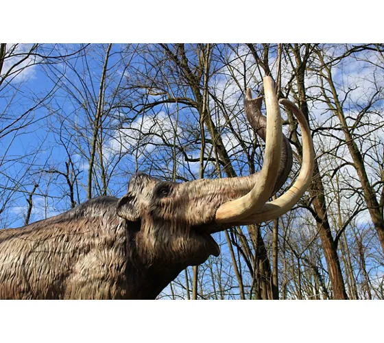 Auronzo Tre Cime. From dinosaurs to mammoths, the story continues