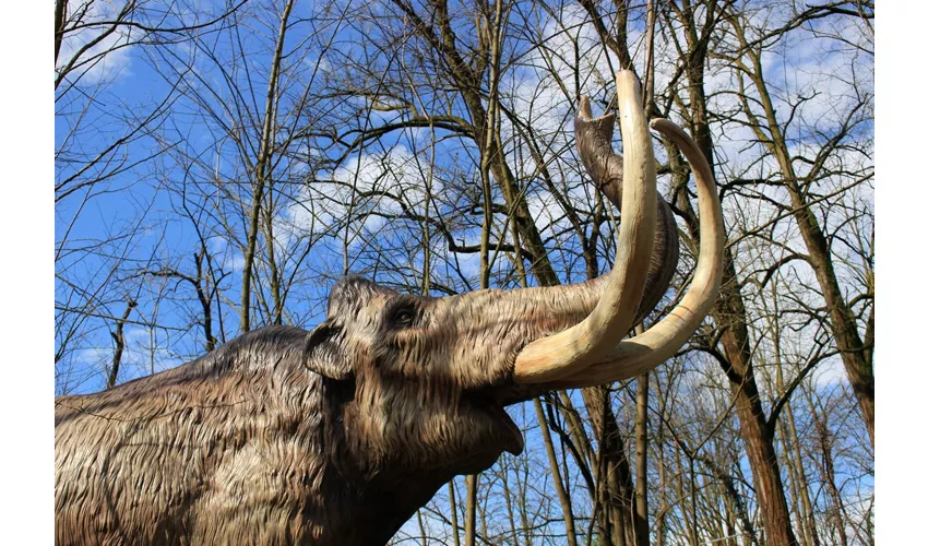Auronzo Tre Cime. Dai dinosauri ai mammut, la storia continua
