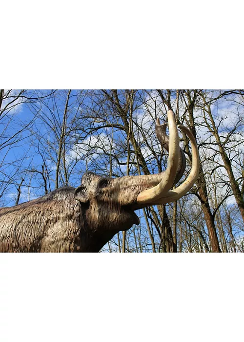 Auronzo Tre Cime. Des dinosaures aux mammouths, l'histoire continue