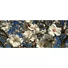 mandorlo in fiore