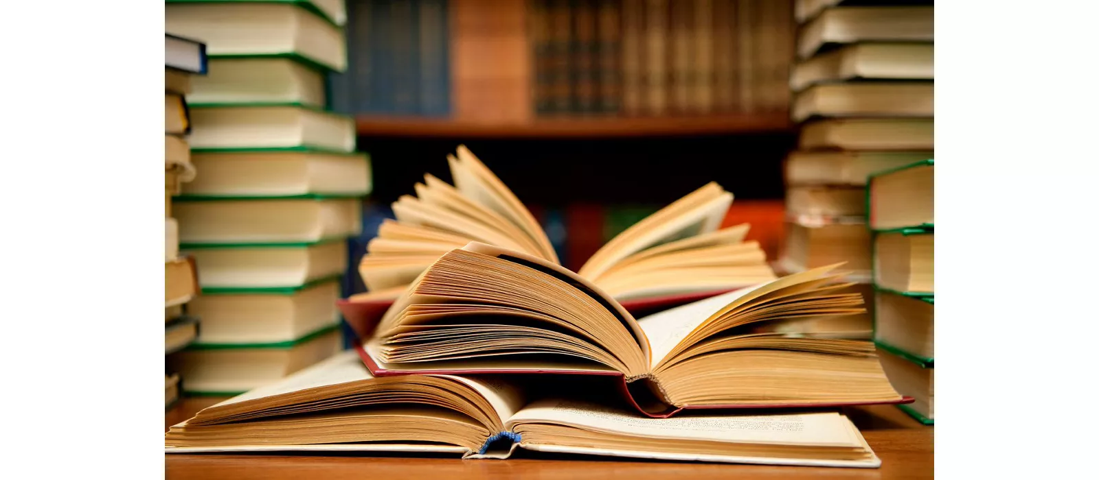 mare_di_libri.jpg