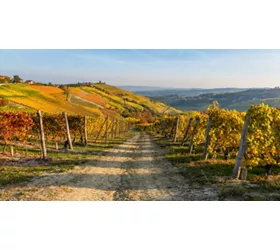 Trekking a cavallo nel Monferrato: tra vigneti, borghi e grandi vini