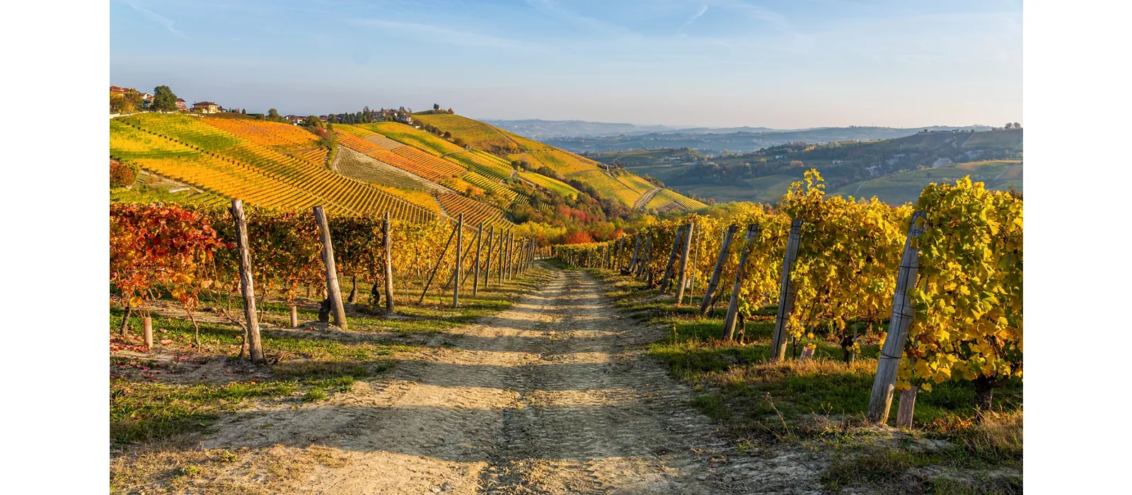 Trekking a cavallo nel Monferrato: tra vigneti, borghi e grandi vini
