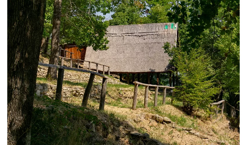 Parco Archeologico di Monte Bibele
