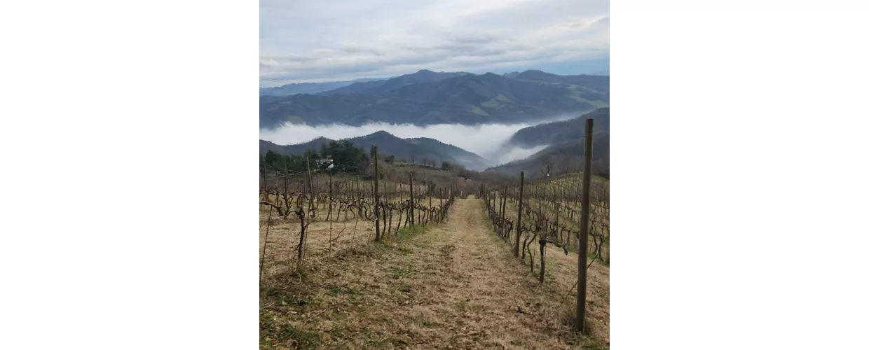 Monte Mirabello