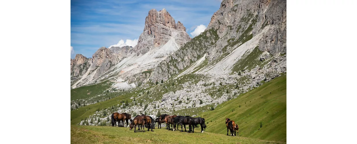 Monte Fionchi