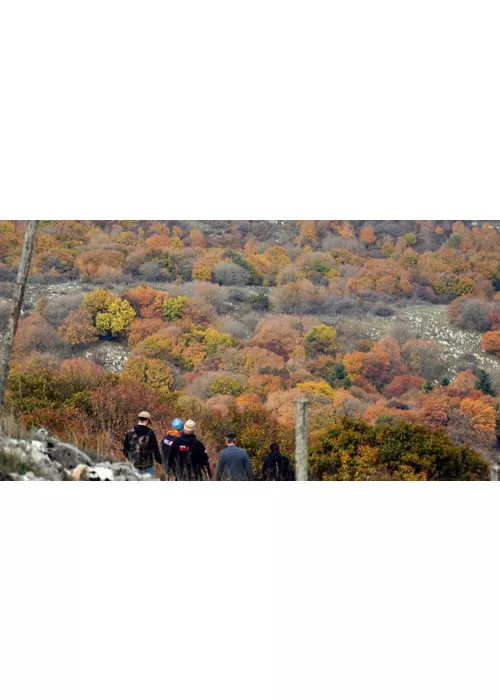 Foliage in Toscana: 6 luoghi per ammirare i colori dell’autunno 