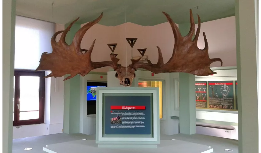 Museo del Cervo e del Bosco della Mesola