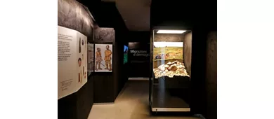 Museo dell'Uomo della Val Rosna