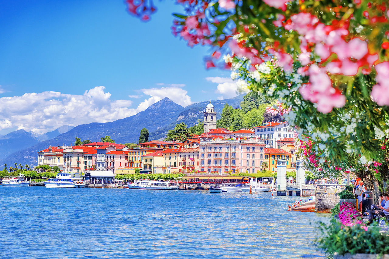 Adesivo Sfondo lucido con tulipani in stile vintage