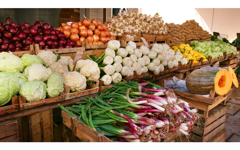 Calabria, homeland of the Mediterranean Diet