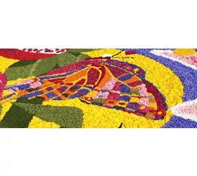 Infiorata di Noto 