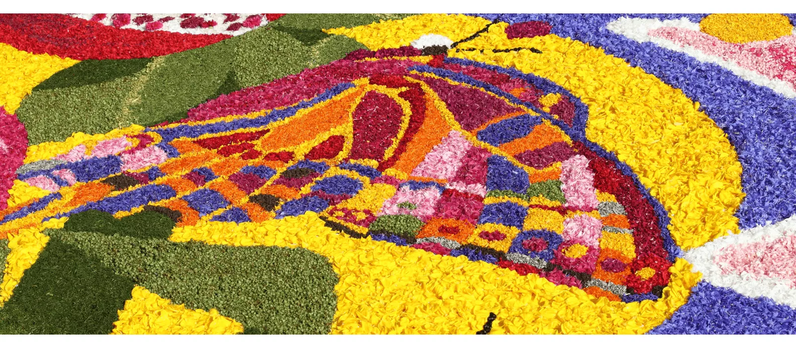 Infiorata di Noto 