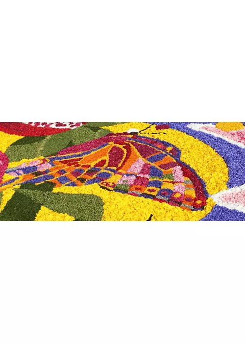 Infiorata di Noto 