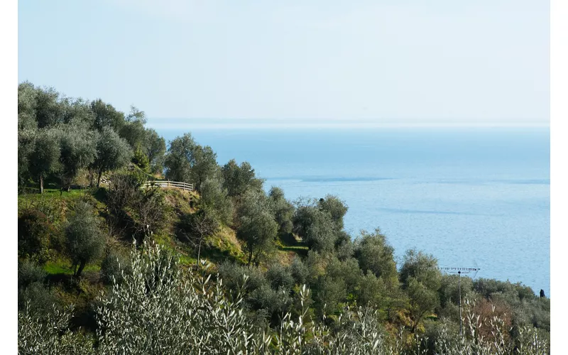 Fare scorta di olio sul Garda
