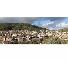 Orani