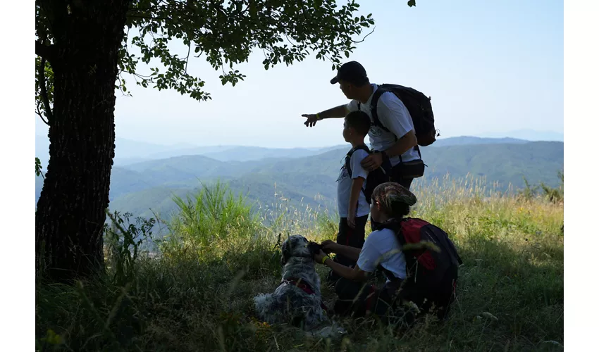 ADVENTURE OUTDOOR FEST 2025 - Forest Edition