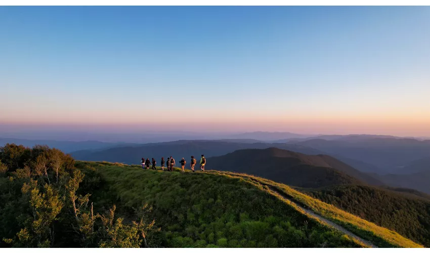 ADVENTURE OUTDOOR FEST 2025 - Forest Edition