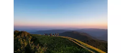 ADVENTURE OUTDOOR FEST 2025 - Forest Edition