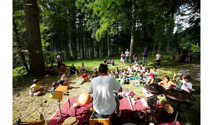 ADVENTURE OUTDOOR FEST 2025 - Forest Edition