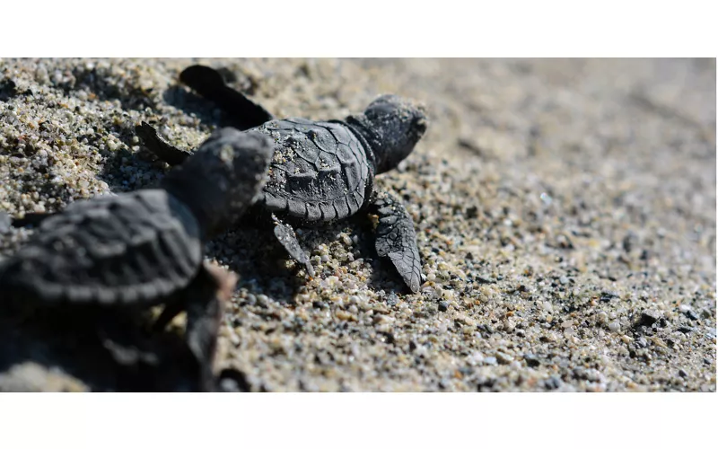 Erstes Bad in Kalabrien in Marina di Caulonia