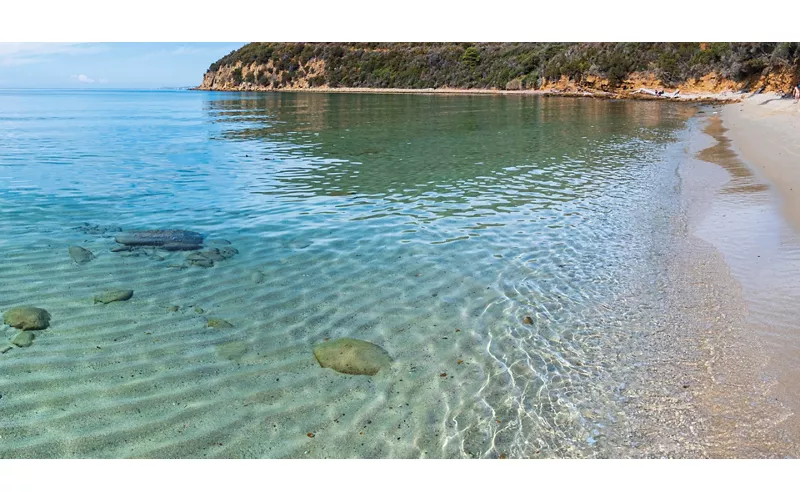 Cala Violina - Scarlino