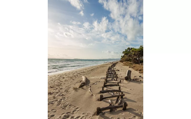 Visit Tuscany - Costa degli Etruschi - sterpaia