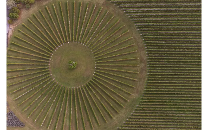 Entre ríos y viñedos: el corazón verde de Pordenone