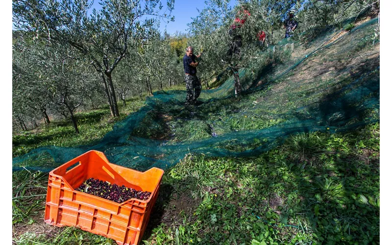 En el Carso, entre piedra y viento
