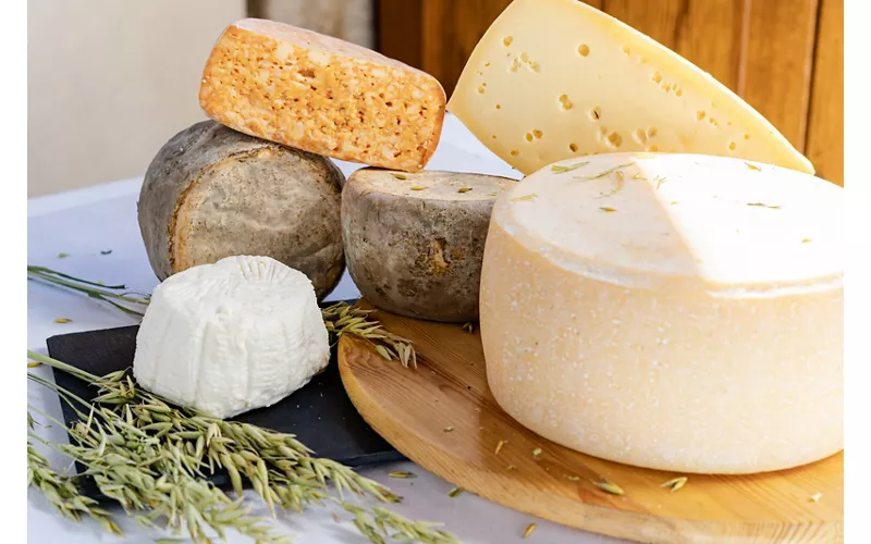 En el Carso, entre piedra y viento