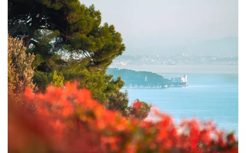 En el Carso, entre piedra y viento
