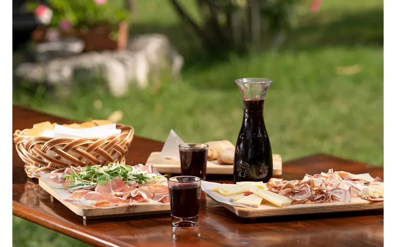 Colinas de vino y de arte