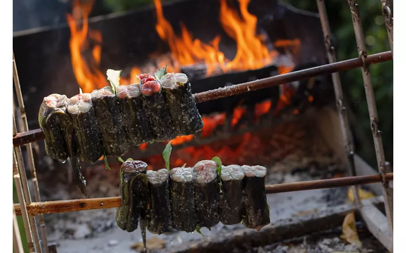 Entre el mar y la laguna: la riviera de los sabores
