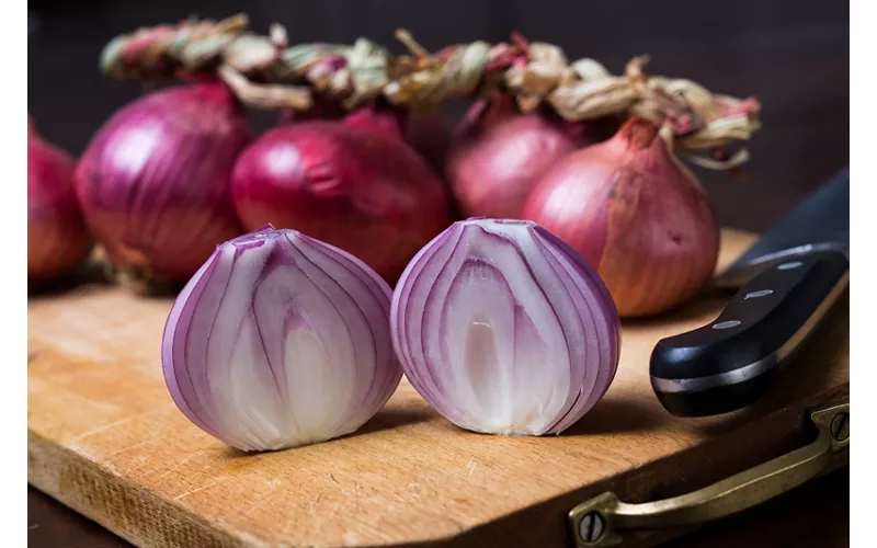 Entre ríos y viñedos: el corazón verde de Pordenone