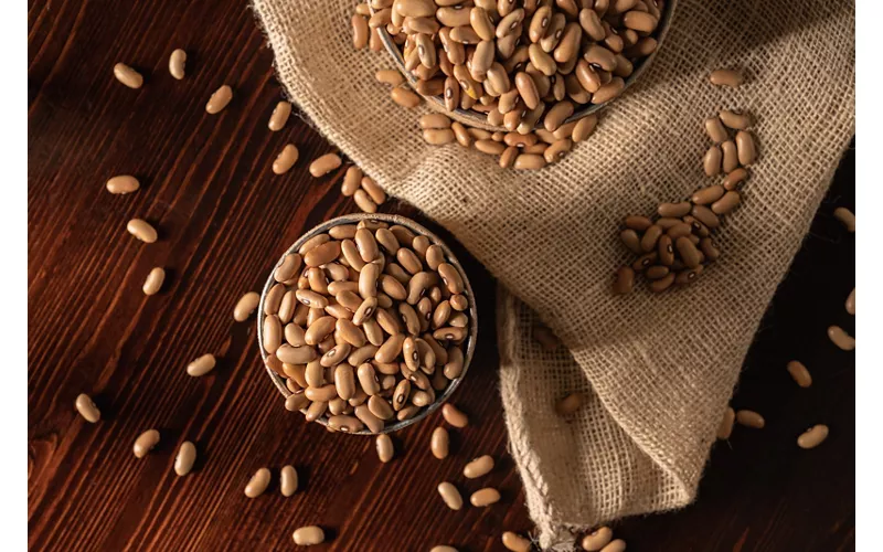 Entre ríos y viñedos: el corazón verde de Pordenone